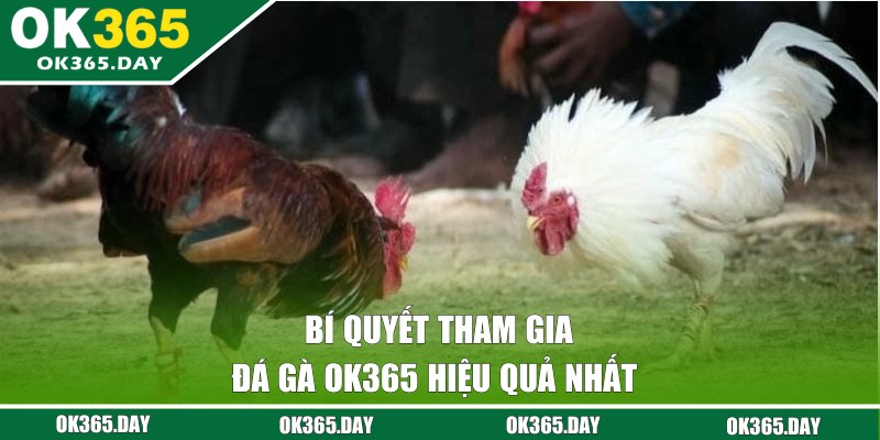 Chia sẻ bí quyết đặt cược từ lão làng chuyên nghiệp