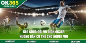 Kèo Cược Đội Vô Địch OK365 - Hướng Dẫn Cụ Thể Cho Người Mới