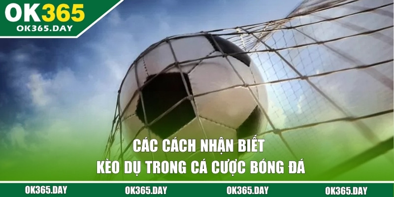 Chia sẻ những cách nhận biết khi hội viên cá cược bóng đá