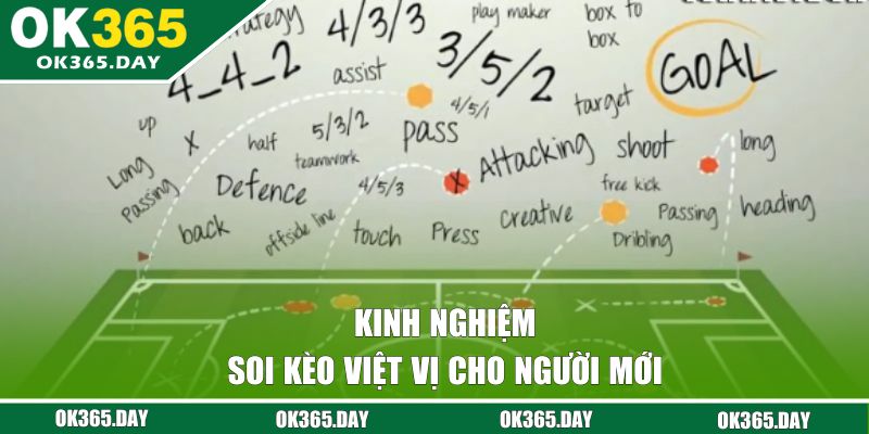 Mẹo đặt cược cho người mới