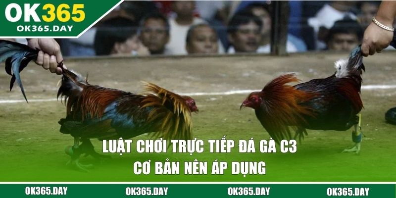 Luật chơi đá gà C3 cơ bản nên áp dụng 
