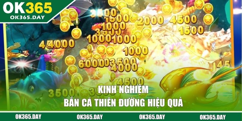 Kinh nghiệm Bắn Cá Thiên Đường hiệu quả