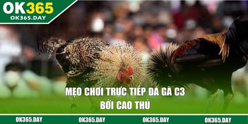 Mẹo chơi trực tiếp đá gà C3 bởi cao thủ 