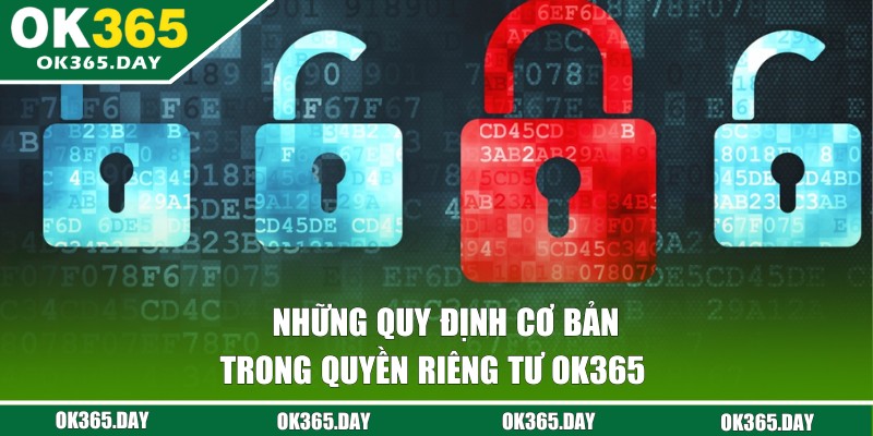 Quy định cơ bản trong chính sách riêng tư tại OK365