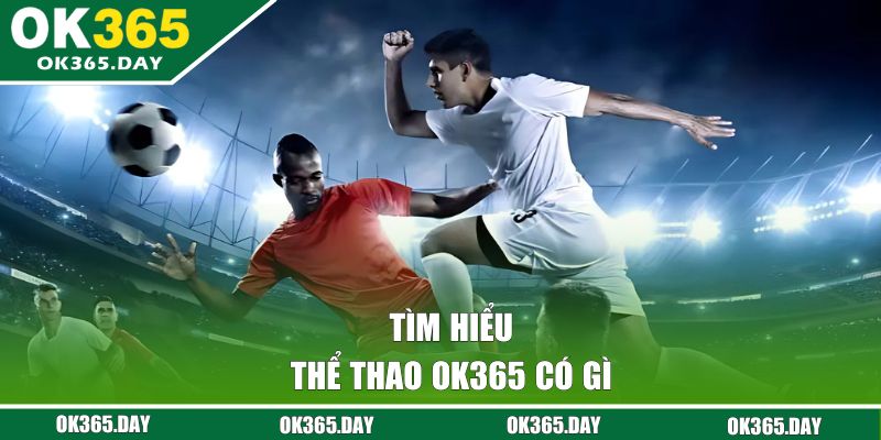 Tìm hiểu thể thao OK365 có gì