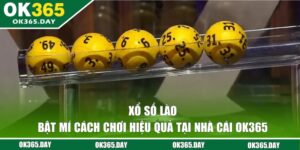 Xổ Số Lào - Bật Mí Cách Chơi Hiệu Quả Tại Nhà Cái OK365